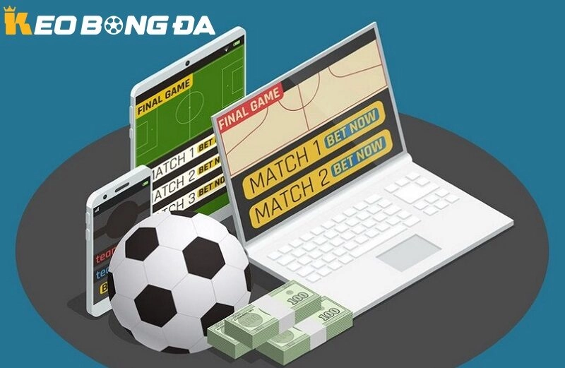 Các yếu tố cần có trong Miễn trừ trách nhiệm của Kèo bóng đá