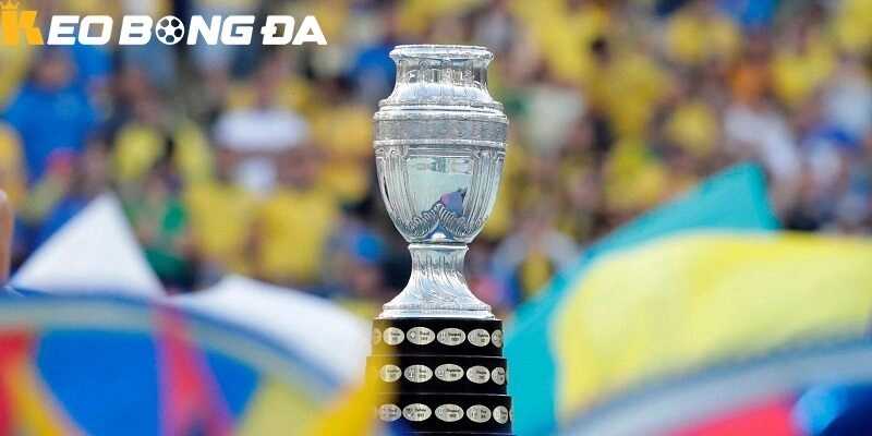 Sự ra đời của Copa America được xem là lâu đời nhất các giải bóng đá cấp châu lục trên thế giới 
